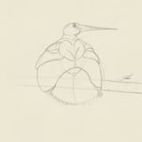 redwingedblackbird-6