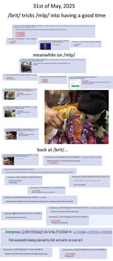 1748788009194358