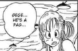 fag
