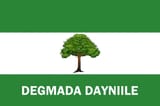 Dayniile