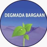 Bargaan