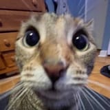 1724432694535836