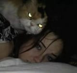 kissa2