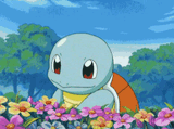 pokemon-squirtle