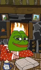 cozy interested frog