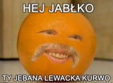 1719465741443647