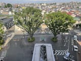 IMG_0417 (1)