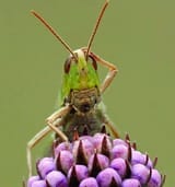 5787089