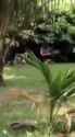134134_thumb.jpg