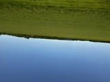 IMG_3450