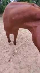 1720152877593821_thumb.jpg