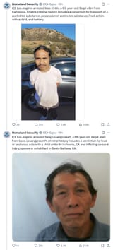 pedos