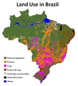Captura de tela 2025-06-12 085027