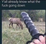 1737897151512787