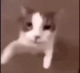 1748716594363414