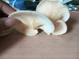 IMG_20250612_154256_942