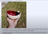 Screenshot_20250612_083801_Reddit