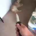 1735759668855529_thumb.jpg