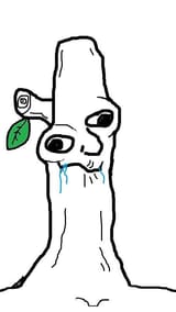 1727255746609424