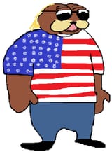 america-bear-original-large