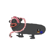 amerimutt Astolfo