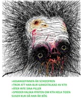 assange_finnen_schizo
