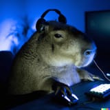capybara gamer