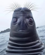1623742677562