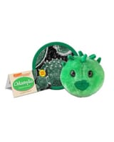 giantmicrobes-chlamydia-chlamydia-trachomatis-550x688