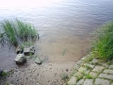 IMG_20250612_194352