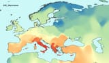 mycenean