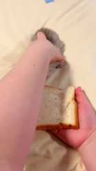 1731714656282837_thumb.jpg