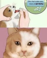 tumblr_owoaw2eMz91wwghevo1_500