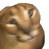 1721833025212599