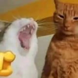 kkkk olha o pauno kugos ai olha la o pauno kugos vei lol