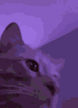 1737607955040970