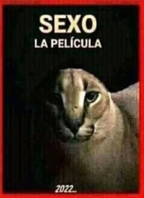1672778513869138
