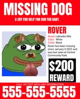 missing dog