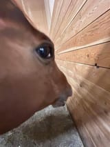 45465465498489489