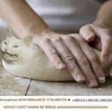 kotbrot
