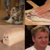 1748171747519405