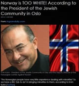jewmassimmigration10