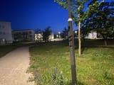 IMG_4160
