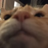 1643061115560