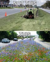 This