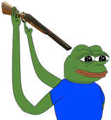 45489661