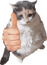 thumbs-up-cat