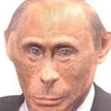 puchimp
