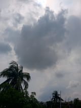 IMG_20250613_100017_185