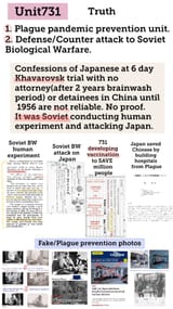 the truth about unit 731 10